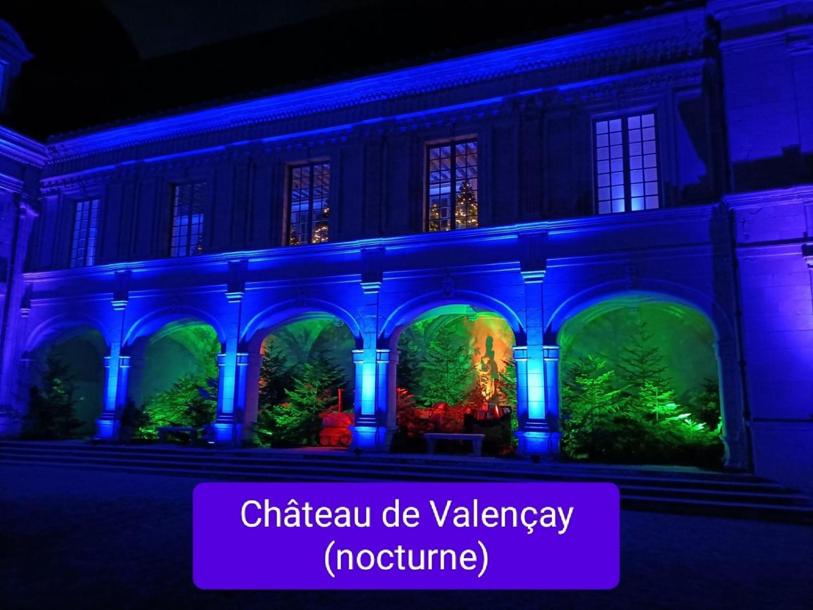 Villa Esperanza Chambre De Plain-Pied, Independante, Proche Zoo De Beauval Et Chateaux De La Loire Valençay Εξωτερικό φωτογραφία